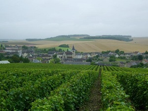 GR654 Walking from Bar-sur-Seine (Aube) to Irancy (Yonne) 3