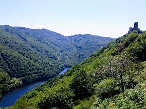 Hiking Loop on Lo Camin d'Olt (Aveyron) 7