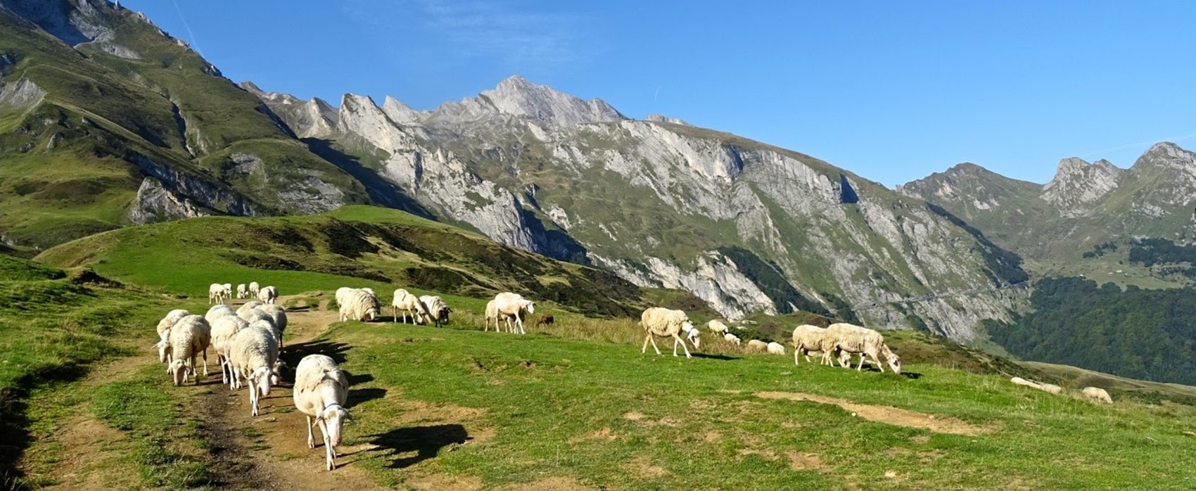 GR®101 From Nogaro (Gers) to Col de Saucède (Hautes-Pyrénées)