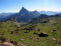 GR�8 Ossau Way Hiking from Sainte-Colome to Somport Pass (Pyrenees-Atlantiques) 8