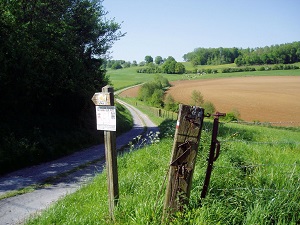 GR12 Walking from Gue-d'Hossus (Ardennes) to Amifontaine (Aisne) 6