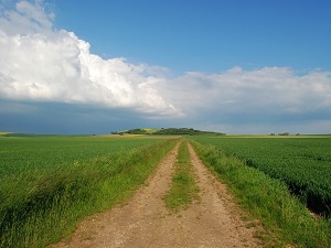 GR145 Via Francigena. Hiking from Conde-sur-Marne (Marne) to Rosnay-l'Hopital (Aube) 4