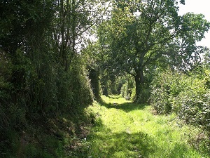 GR26 Randonnée de Bernay (Eure) à Villers-sur-Mer (Calvados) 4