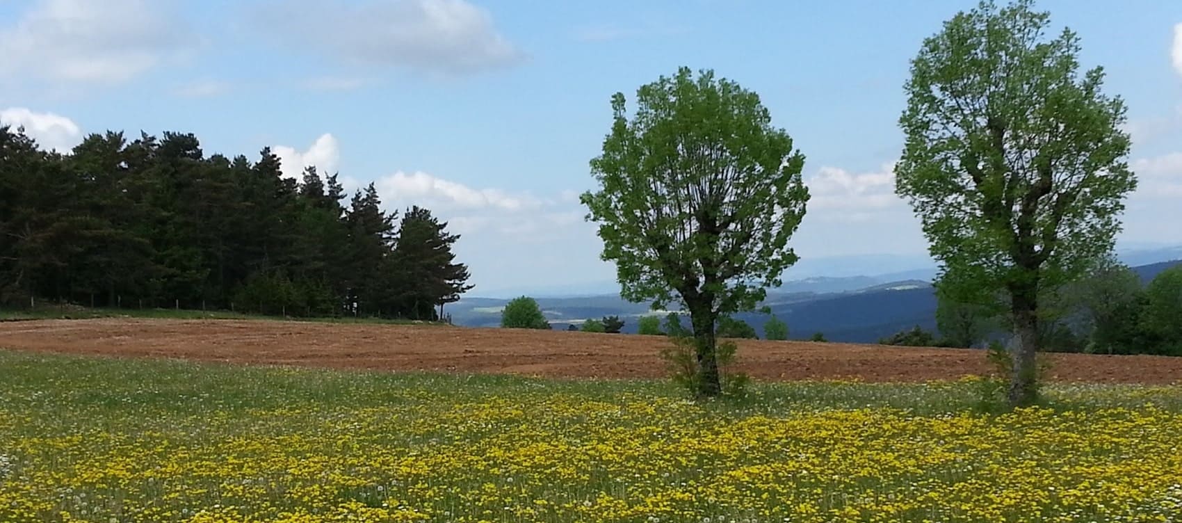 GR®43 Randonnée du Col des Faïsses à Ste Eulalie (Lozère)