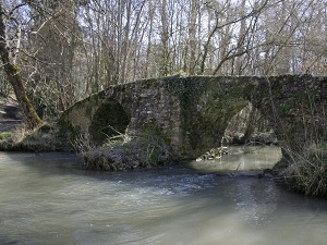 GR46 Randonnée de Tours (Indre-et-Loire) à Buzançais (Indre) 4