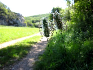 GR46 Hiking from Rocamadour (Lot) to Saint-Projet (Tarn and Garonne) 6