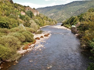 GR®470 Sources et Gorges de l'Allier (Haute-Loire, Lozère) 5