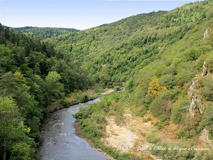 GR470 Sentier des Gorges de l'Allier 6