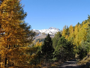 GR50 Hiking on the Tour of Ecrins National Park (Hautes-Alpes, Isere) 7