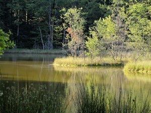 GR®501 Moselle River Path 3