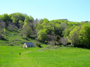 GR509 Randonnée sur la Grande Traversée du Jura (GTJ) 7