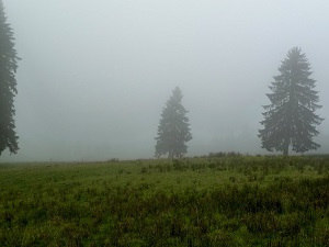 GR509 Randonnée de Villers-le-Lac à Mouthe (Doubs) 5