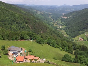 GR�1 Randonnée de Oberhaslach (Bas-Rhin) au Col de Bramont (Haut-Rhin) 6
