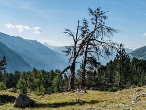 GR� Hiking from the Pastoral Hut of Thures to the Oratory of Saint Roch (Hautes-Alpes) 4