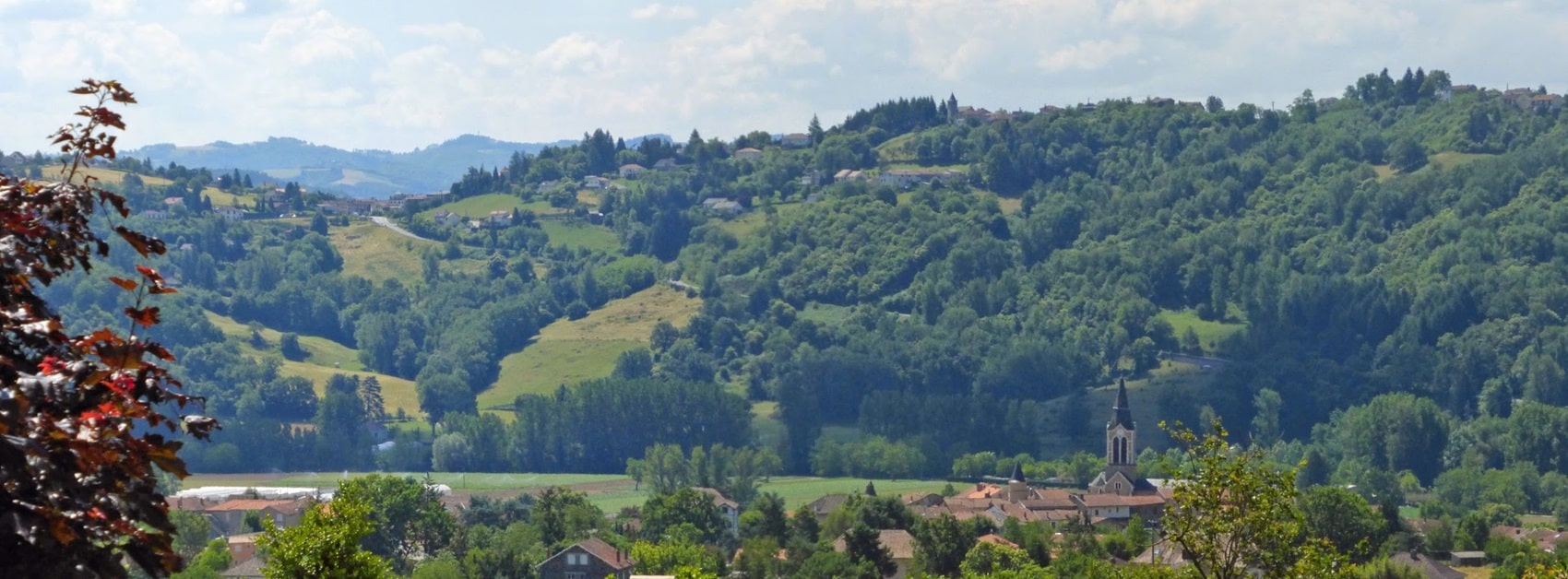 GR®6 From Gironde to Alpes-de-Haute-Provence