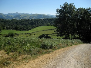 GR65 Hiking from Larribar-Sorhapuru (Pyrenees-Atlantiques) to Roncesvalles (Spain) 3