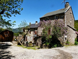 GR66 Randonnée autour du Mont Aigoual (Cévennes) 6