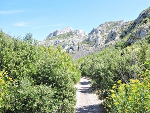 GR6 Hiking from Ners (Gard) to Aureille (Bouches-du-Rhone)