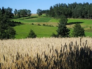 GR®765 OUEST De Montarcher (Loire ) à Polignac (Haute-Loire) 3