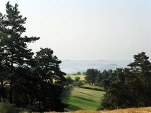 GR®765 OUEST De Montarcher (Loire ) à Polignac (Haute-Loire) 4