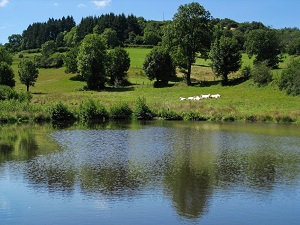 GR®76A Hiking from St-Vallerin (Saone-et-Loire) to Mt Saint-Rigaud (Rhone) 7