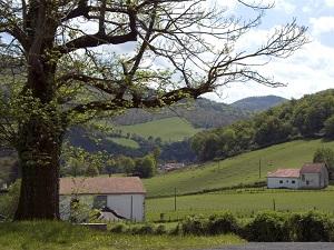 GR78 Randonnée de Asson au col d'Oihantzarre (Pyrénées-Atlantiques) 7