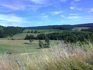 GR7 Hiking from Darney (Vosges) to Langres (Haute-Marne) 5