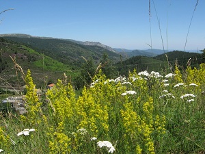 GR7 Randonnée de La Bastide-Puylaurent (Lozère) à L'Espérou (Gard) 5