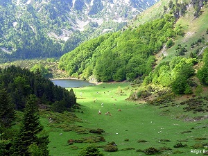 3.GR7 Randonnée de Mirepoix (Ariège) à Portella Blanca d'Andorra (France-Espagne)