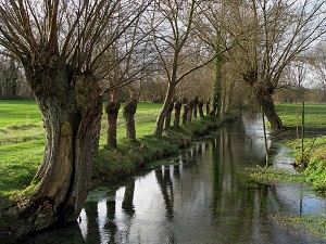 GR®800 Hiking from Fonsomme (Aisne) to St-Valery-sur-Somme (Somme) 3