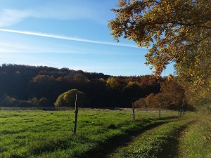 GR®89 Randonnée de Sauviat-sur-Vige (Haute-Vienne) à Felletin (Creuse) 7