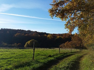 GR®89 From Sauviat-sur-Vige (Haute-Vienne) to Felletin (Creuse) 7