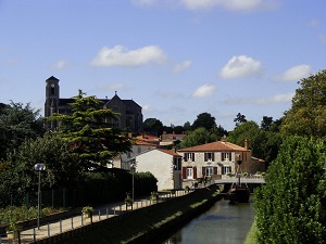 GR8 Hiking from Ile-d'Olonne to Sevre niortaise river (Vendee) 6