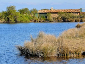 Hiking around the Arcachon Bay (Gironde) 5