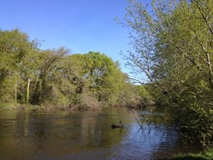 Hiking around the Arcachon Bay (Gironde) 6