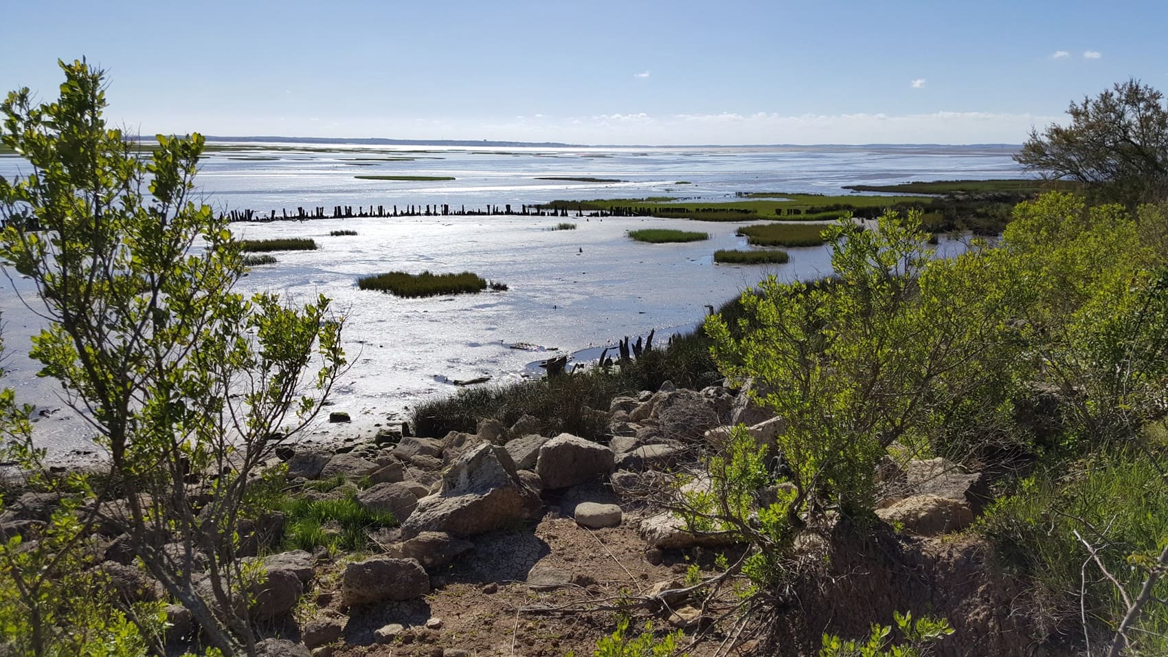 Tour of the Arcachon Bay (Gironde)