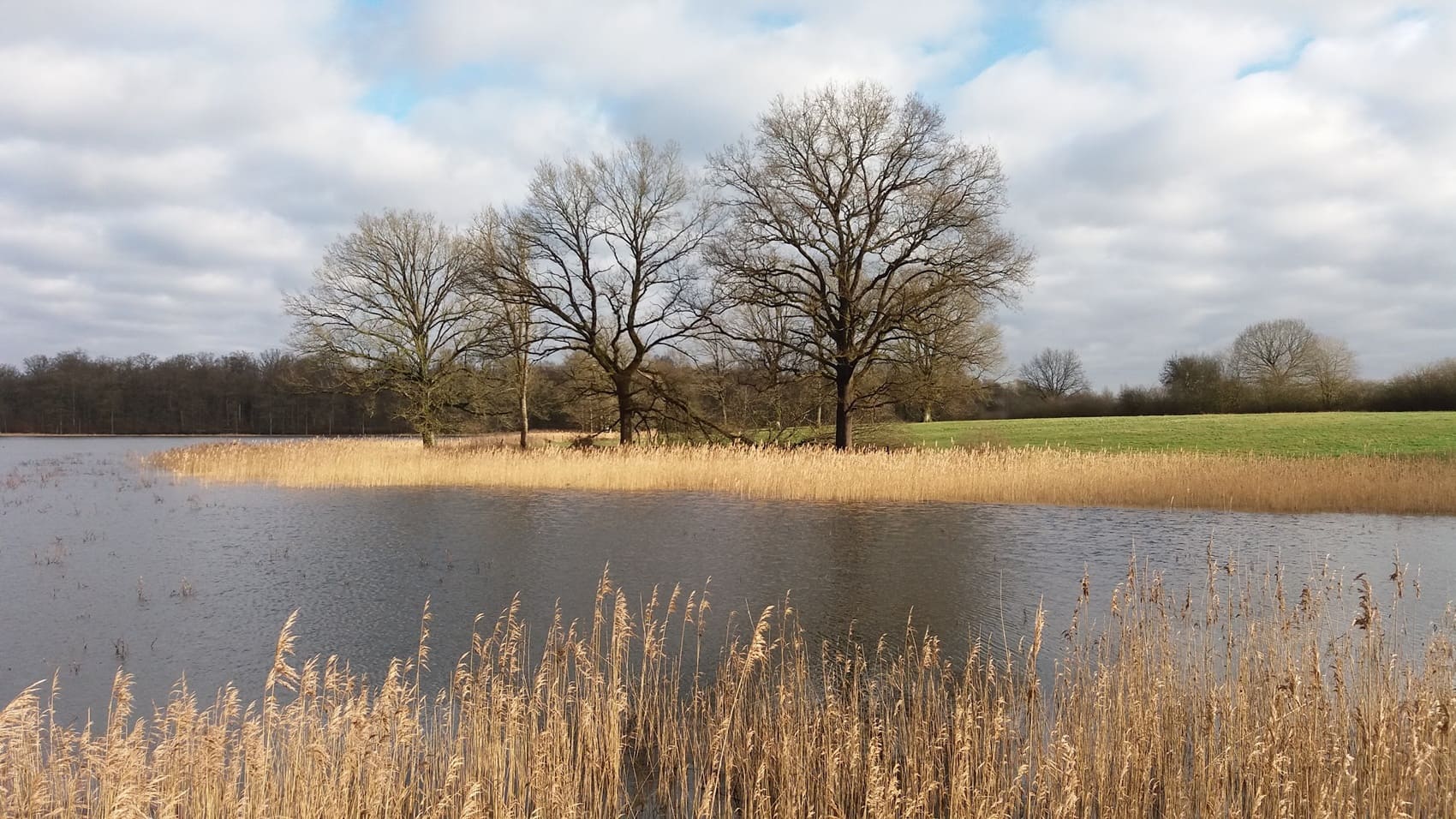 Tour of the Argonne (Marne, Ardennes, Meuse)