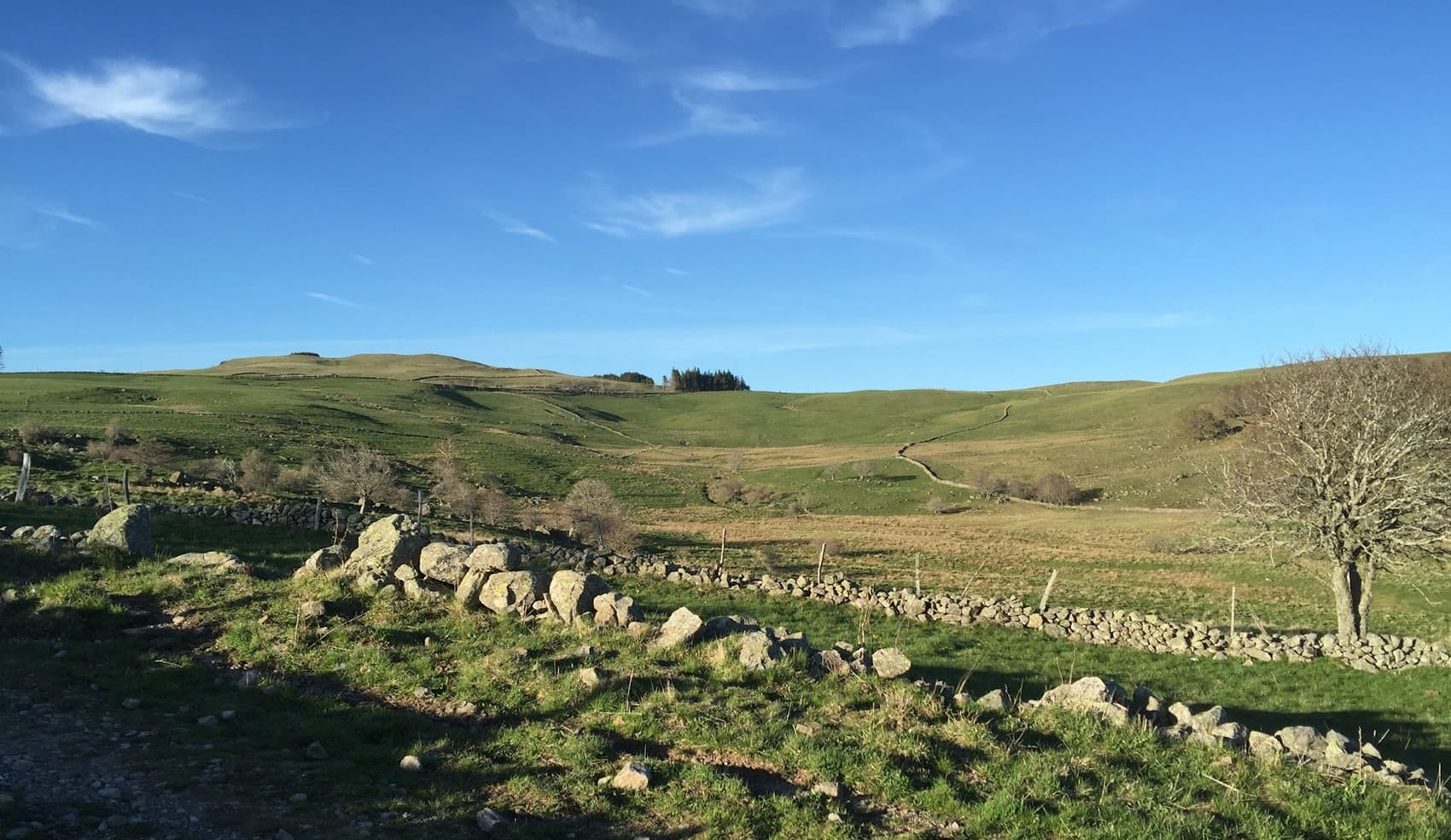 Tour des Monts Aubrac (Lozère-Aveyron-Cantal)