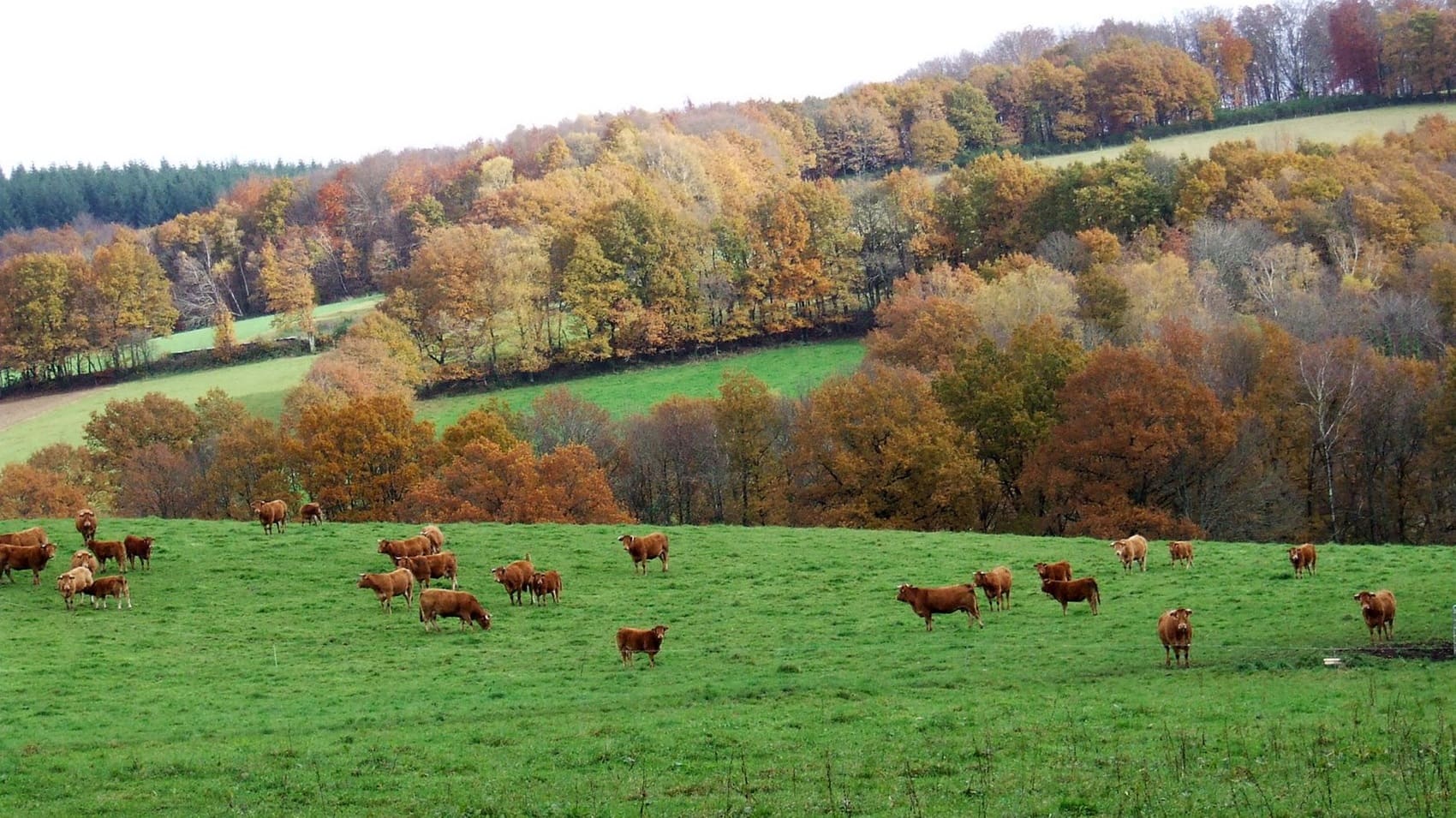 Tour des Cascades, Landes et Tourbières (Creuse)