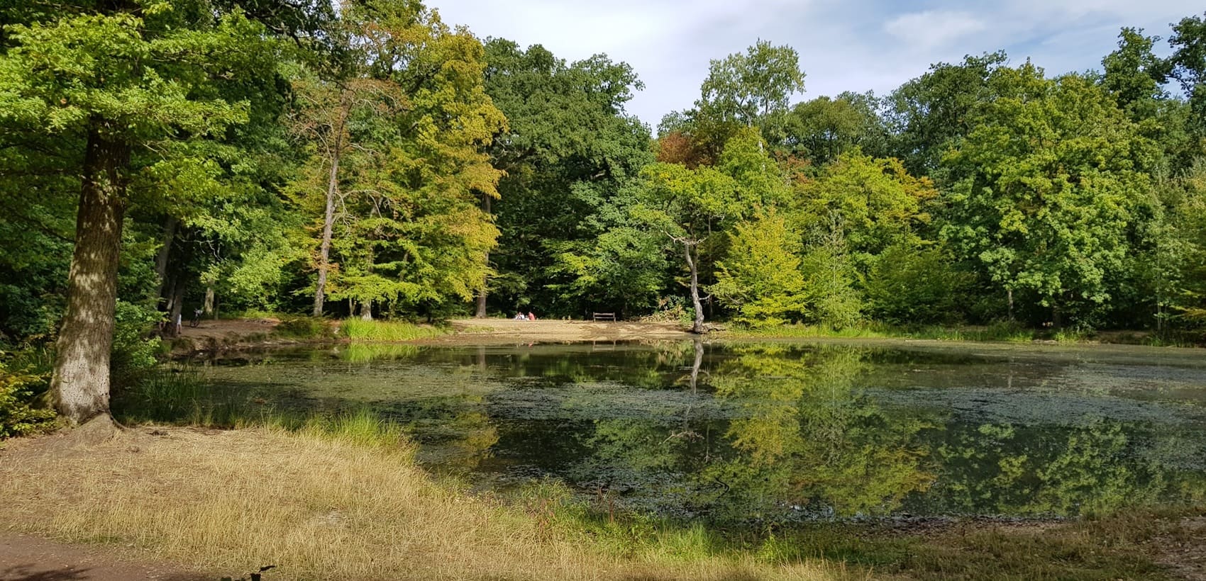 Tour de la Ceinture Verte d'Ile-de-France
