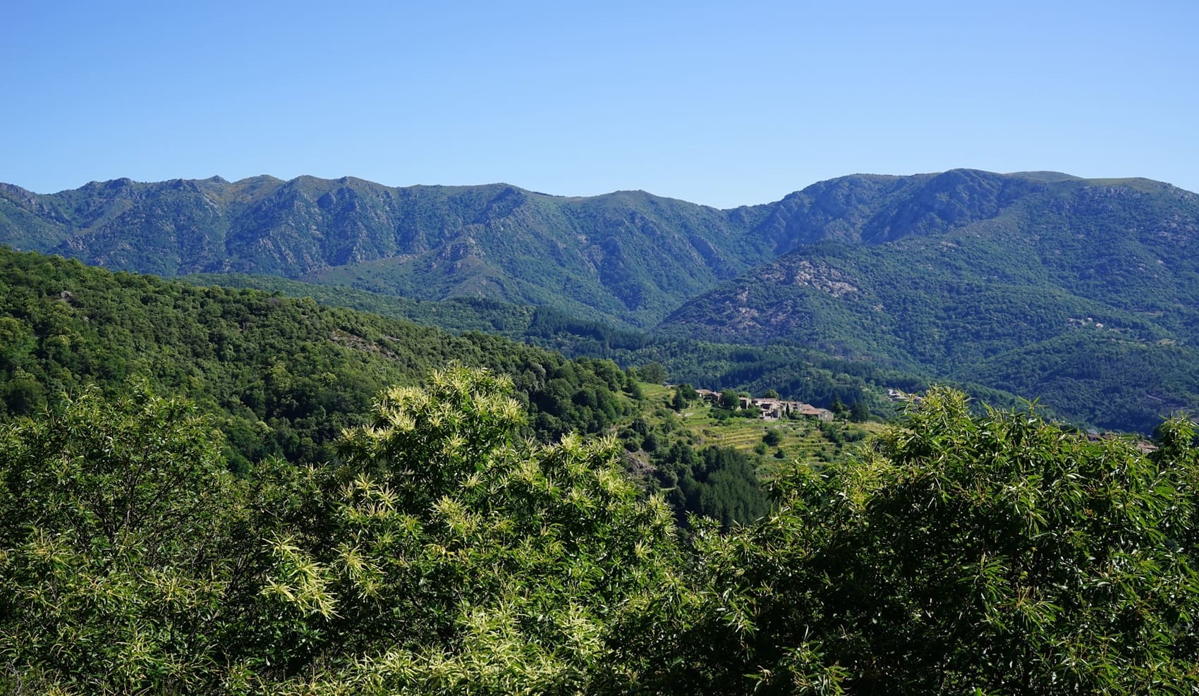 Cévennes