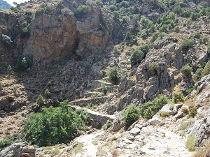 Corsica Transhumance Hiking from Calenzana to Corscia (Upper-Corsica) 7