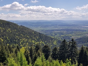 Randonnée autour de la Déodatie Sud (Vosges)