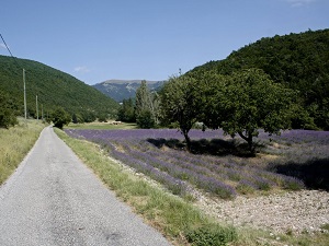 Randonnée autour du Pays de Dieulefit4 (Drôme)