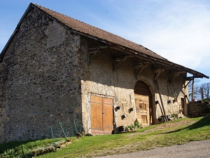 Randonnée du Beaujolais au Bugey par la Dombes (Rhône-Ain) 7