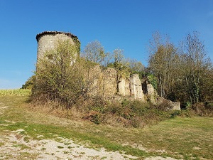 Hiking around Loire Gorges (Haute-Loire) 5