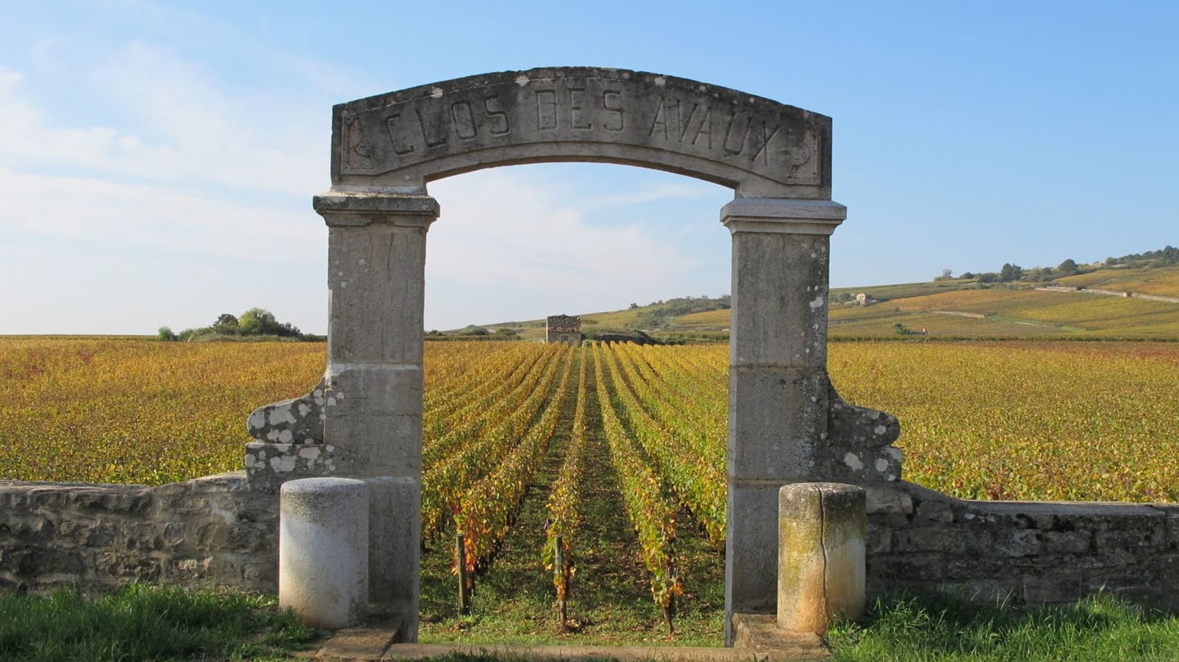 Great Wines (Côte-d'Or)