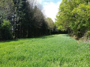 Hike around Upper Thore Valley (Tarn, Aude, Herault) 5