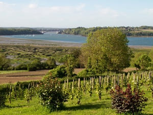 Hiking around the Pays Malouin (Ille-et-Vilaine) 6