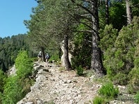 Corsica Mare to Mare (Center) Hiking from Serra-di-Fiumorbo (Haute-Corse) to Grosseto-Prugna (Corse-du-Sud) 5